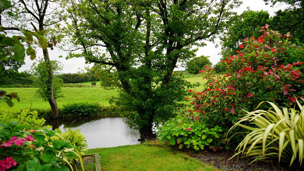 Landscaped garden bed with fresh mulch